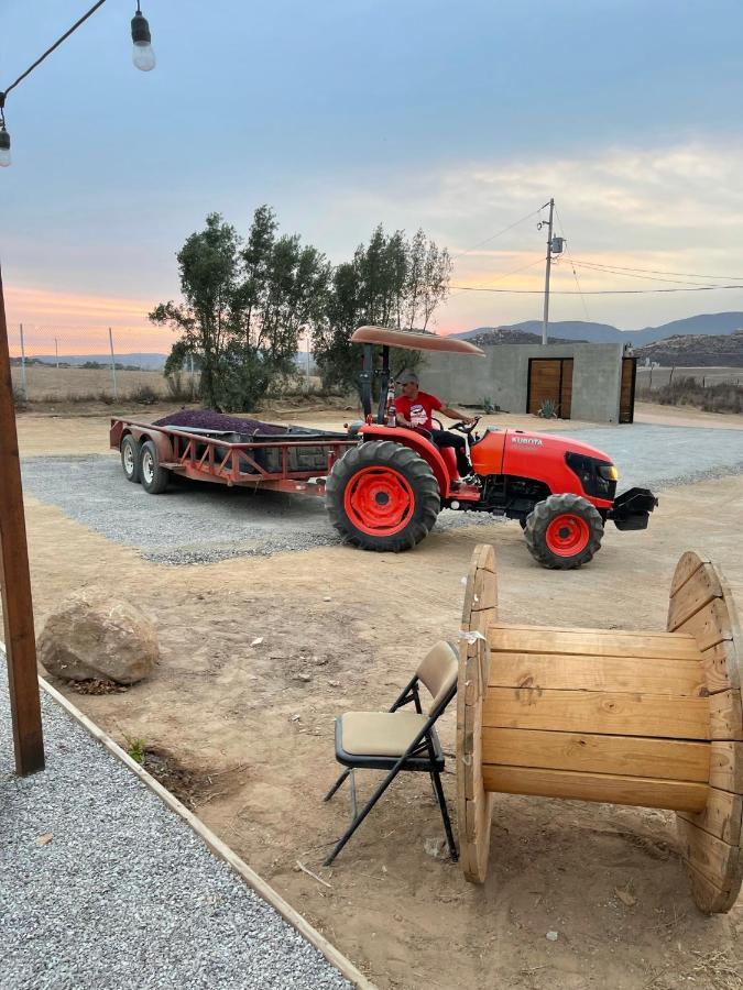 Finca Cazosa Valle de Guadalupe Kültér fotó