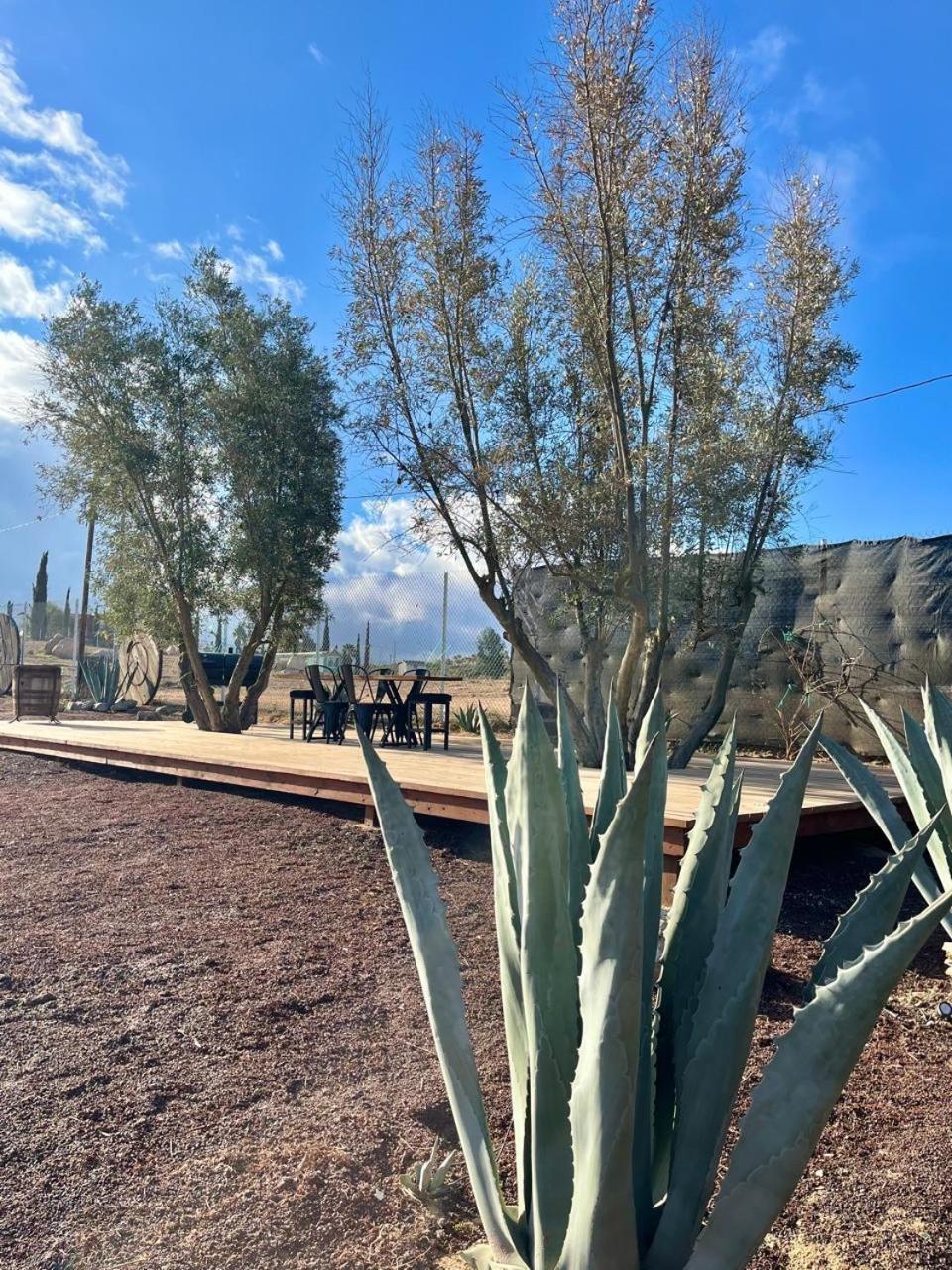 Finca Cazosa Valle de Guadalupe Kültér fotó