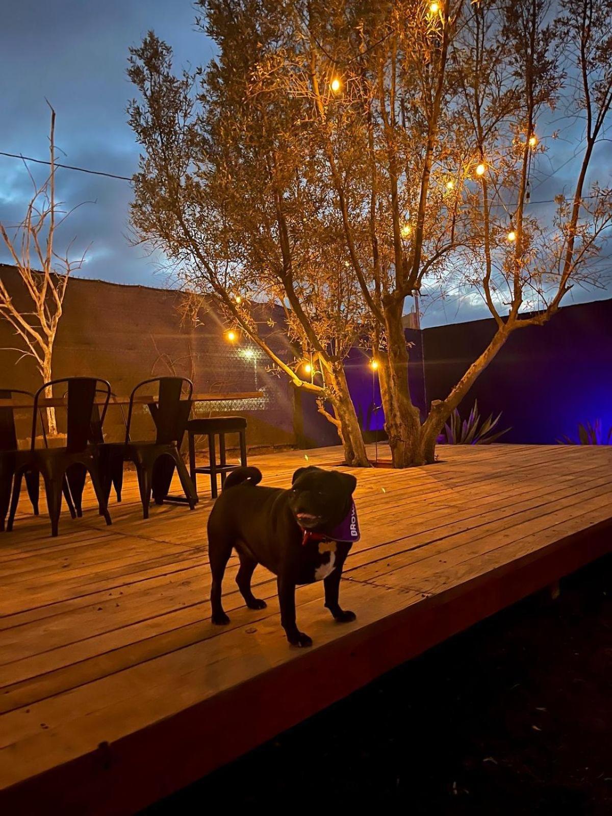 Finca Cazosa Valle de Guadalupe Kültér fotó