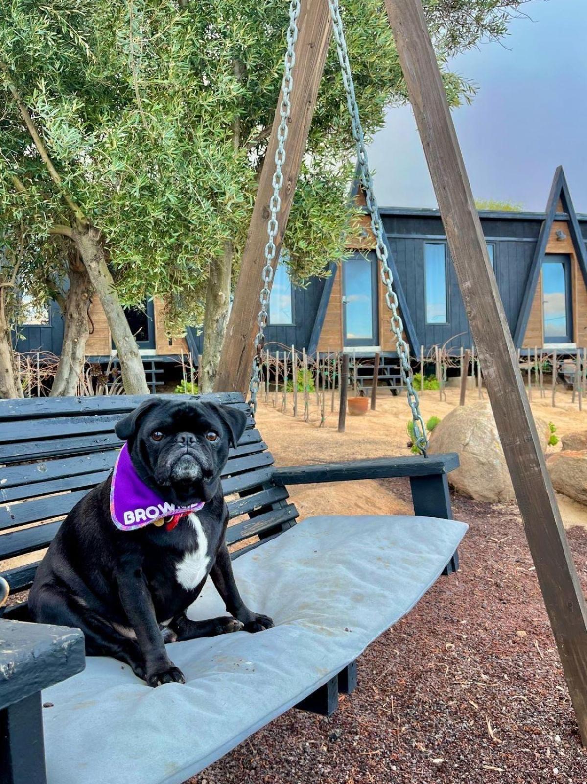 Finca Cazosa Valle de Guadalupe Kültér fotó